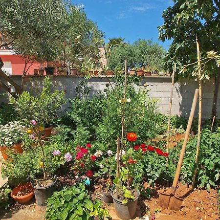 Apartments Ivanka 378 Rovinj Dış mekan fotoğraf