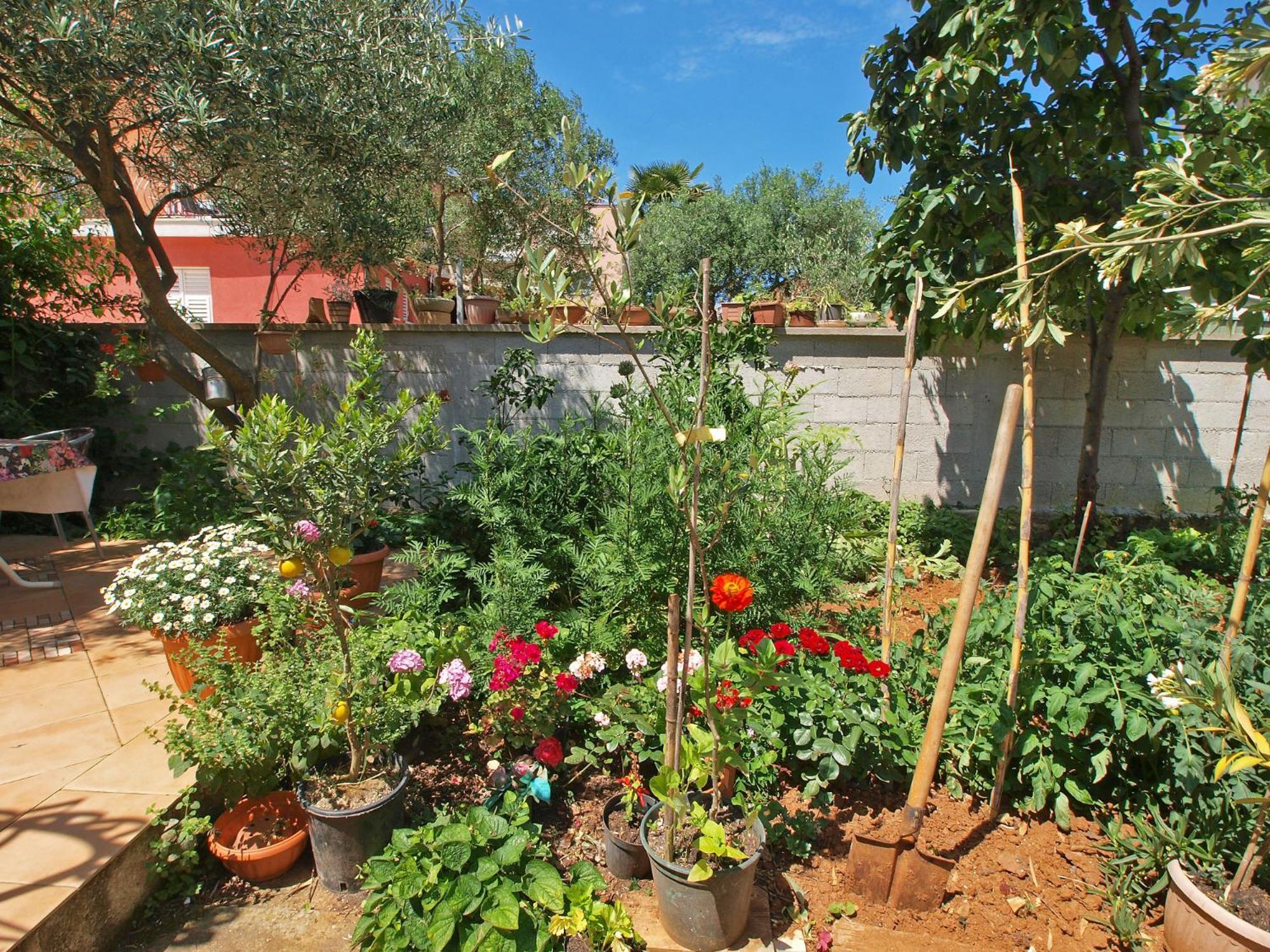 Apartments Ivanka 378 Rovinj Dış mekan fotoğraf